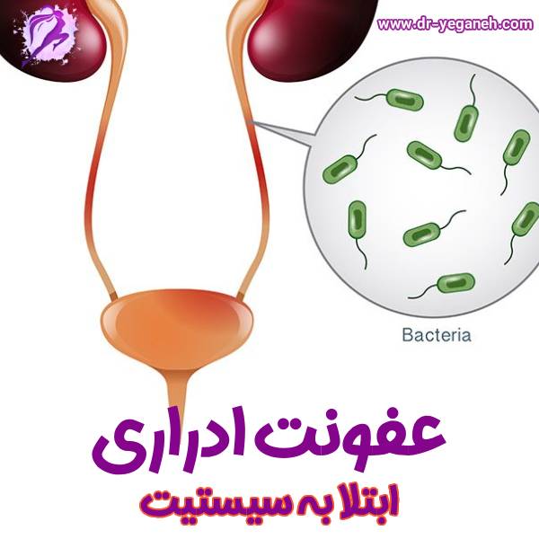 عفونت ادراری - دکتر سمیه یگانه